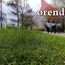 Оренбург вновь начал зарастать травой