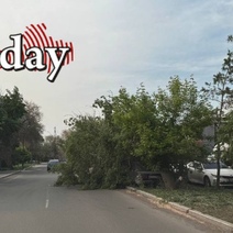 Оренбург испытание ветром не прошел: заваливаются остановки, деревья и даже металлические заборы