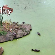 Тропу мусора в Оренбурге решили расчистить