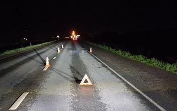 В Новоорском районе ночью насмерть сбили пешехода, перебегавшего проезжую часть