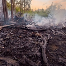 В Оренбурге полыхал лесопарк Дубки