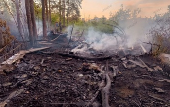 В Оренбурге полыхал лесопарк Дубки