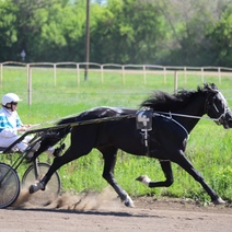 Открытие сезона на оренбургском ипподроме началось с ЧП 