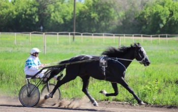 Открытие сезона на оренбургском ипподроме началось с ЧП 
