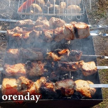 В Оренбурге после жарки шашлыка в больницу с серьезными ожогами попал подросток