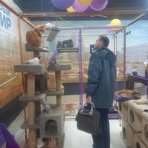 Пушистики под запретом: в Оренбурге без лицензии гастролировал передвижной зоопарк с кошками