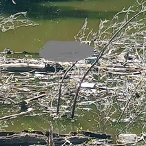 В Оренбурге спасатели извлекли из воды тело утопленника