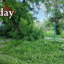 Зауральная роща грустная, никому не нужная