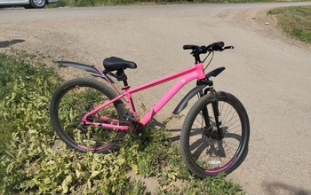 В Оренбургском районе под колеса автомобиля Mercedes-Benz попала 10-летняя велосипедистка