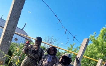 Гибнет птица, страдают люди: Оренбуржье захлестнуло нашествие мошек