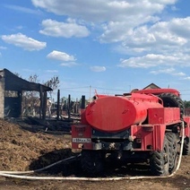 7 голов КРС погибли на пожаре под Соль-Илецком