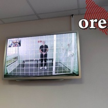 Егора и Макара Макаровых, участников перестрелки у отеля Hilton, Оренбургский областной суд не отпустил под домашний арест