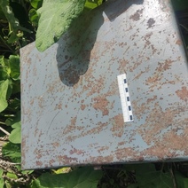 Два подростка на сундук пенсионера: в Красногвардейском районе школьники возомнили себя пиратами