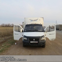 Житель Орска не пожалел ни свою голову, ни родственника, чтобы украсть у работодателя 2,6 млн рублей