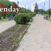 В Оренбурге в сквере Лебедева и Сираева новые цветы, взамен увядших, высадили частично