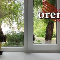 В Оренбурге во время мытья окна воспламенился мужчина