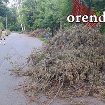 Повезёт ли оренбургской Зауральной роще вновь стать центром притяжения