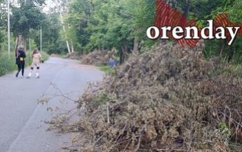 Повезёт ли оренбургской Зауральной роще вновь стать центром притяжения