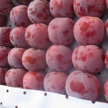 Слива лиловая, но зараженная: в Оренбуржье завезли мясистые плоды с «сюрпризом»