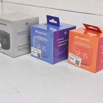 Рецидивистка из Уфы украла в Оренбуржье 17 умных колонок