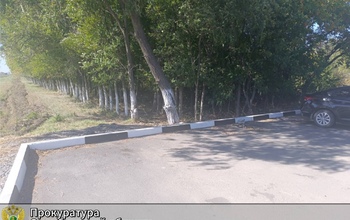 Орская природоохранная прокуратура добилась сноса стоянки на землях лесного фонда