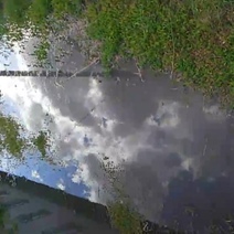 Поселок Домбаровский тонет в нечистотах