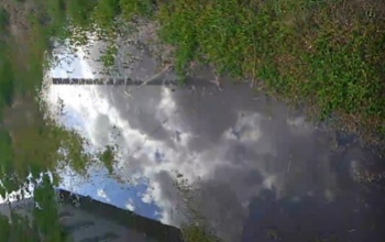 Поселок Домбаровский тонет в нечистотах