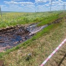 В Переволоцком районе произошел разлив нефти, но некто попытался скрыть этот факт