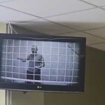 В Оренбурге на уши администратора tg-канала «Утюг» крысы покушаться больше не будут