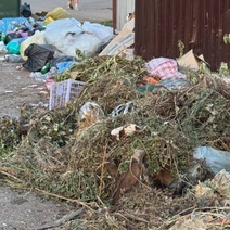 Начальника УЖКДХТ Орска оштрафовали за проблему с вывозом и правильным накоплением мусора