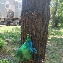 В Оренбурге Лесозащитную снова захламили мусором и испорченными овощами и фруктами