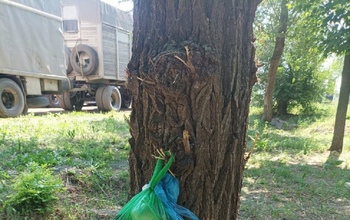 В Оренбурге Лесозащитную снова захламили мусором и испорченными овощами и фруктами