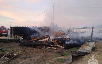 5 человек погибли на пожаре в Илекском районе