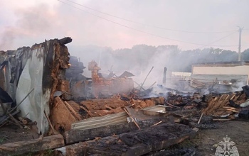 Следком по факту гибели пяти человек во время пожара в Илекском районе возбудил уголовное дело (18+)