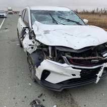 Орчанин, чей автомобиль пострадал из-за лошади, пытается отсудить ущерб