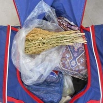 Иностранцы повадились летать в Оренбург с наркотической травой