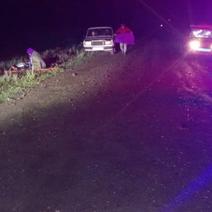 Под Кувандыком погиб подросток, врезавшись на мотоцикле в лошадь (18+)
