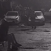 В Оренбурге мужчина получил открытую ЧМТ во время конфликта из-за собаки без намордника