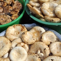 В Абдулино глава района похвастался трофеями с «тихой охоты»