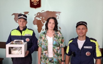 В Оренбуржье инспекторы ГИБДД спасли женщину с анафилактическим шоком после укуса пчелы