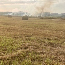 Житель Новотроицка дал странное объяснение совершения поджога тюков сена в поле