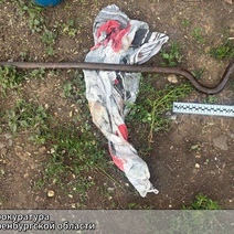 Била гвоздодером по голове: жительница Оренбуржья убила мать и пыталась скрыть преступление