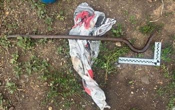 Била гвоздодером по голове: жительница Оренбуржья убила мать и пыталась скрыть преступление