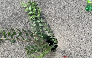 На проезжей части у комплекса «Салют, Победа!» появился провал