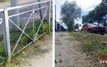 Видимость и показуха: в Оренбурге косят траву по принципу «и так сойдет»