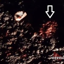 В Оренбурге для тараканов создана комфортная городская среда 