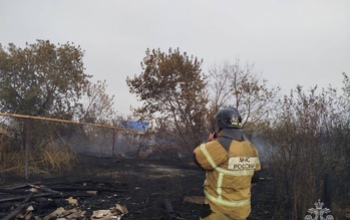 В Тоцком районе пожарные остановили огонь в нескольких метрах от жилых домов