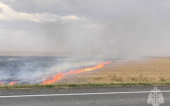 Под Соль-Илецком борются с крупным ландшафтным пожаром