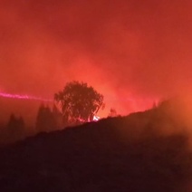 Под Медногорском бушует ландшафтный пожар