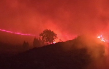 Под Медногорском бушует ландшафтный пожар